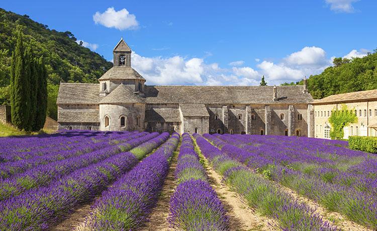 Le Mogador Chateau Du Martinet Violès Екстериор снимка